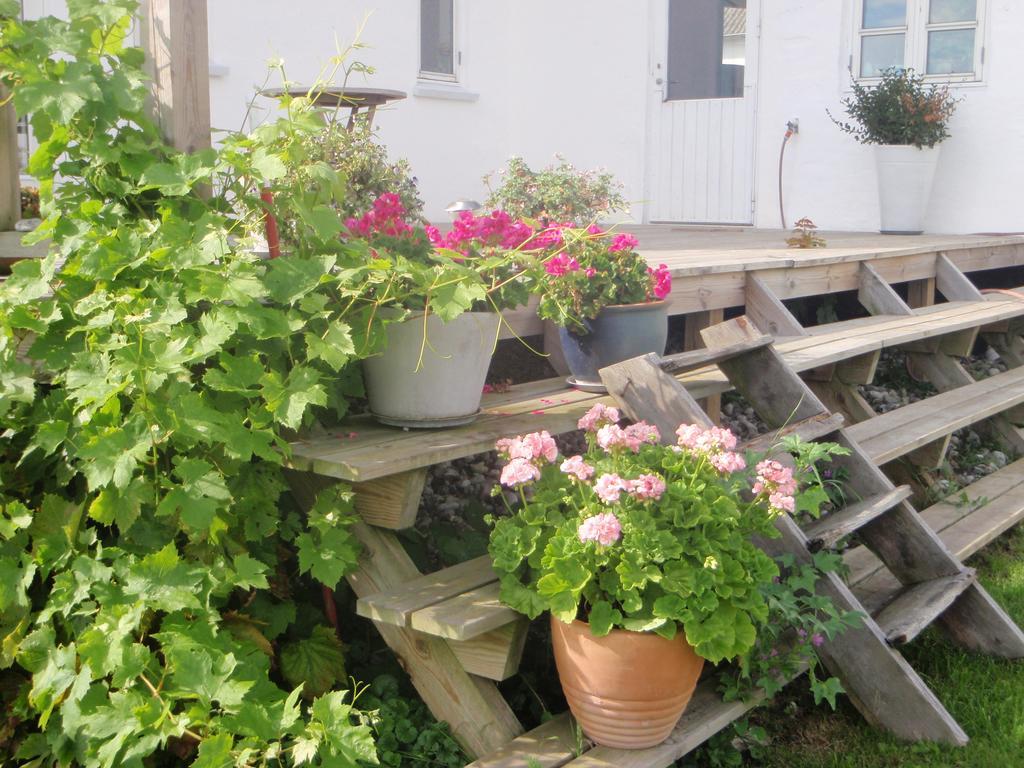 Ruhetgaard Holiday Apartment Aeroskobing Bilik gambar